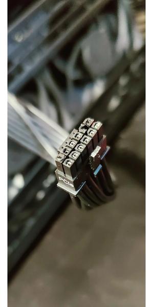 фото Reddit (Roachard)