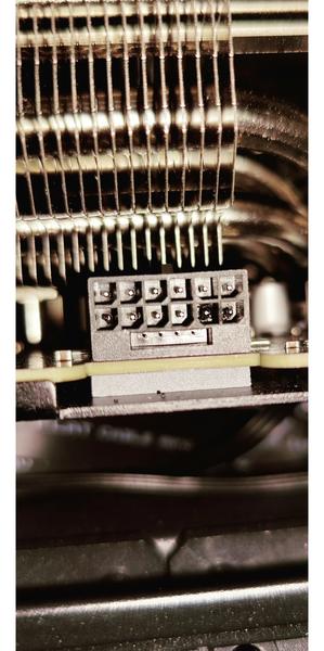 фото Reddit (Roachard)