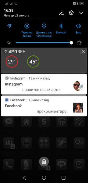 Дистанционные цифровые термометры для гриля Weber iGrill 2 и iGrill Mini:, фото 27