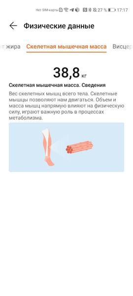 Как #сидетьдома и сохранять форму: что делать и как поможет Honor, фото 9