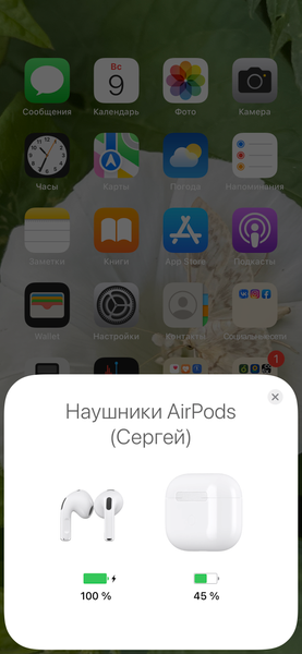 Беспроводные наушники Apple AirPods 3:, фото 13