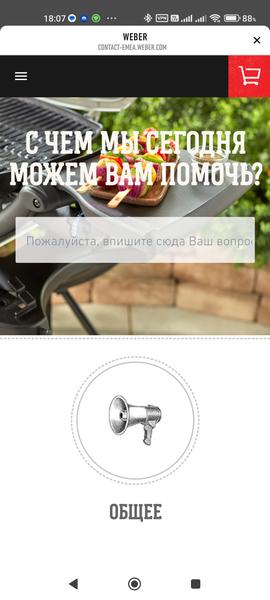 Weber Connect Smart Grilling Hub:, фото 29