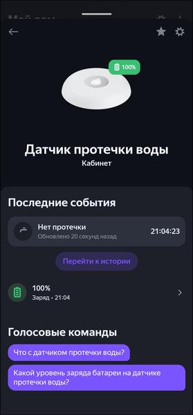«Яндекс Станция Макс»:, фото 148