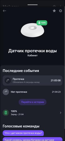 «Яндекс Станция Макс»:, фото 149