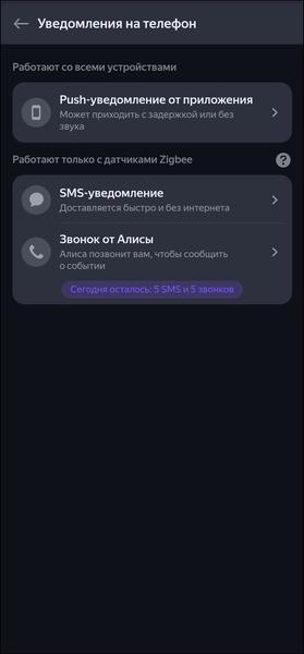 «Яндекс Станция Макс»:, фото 156