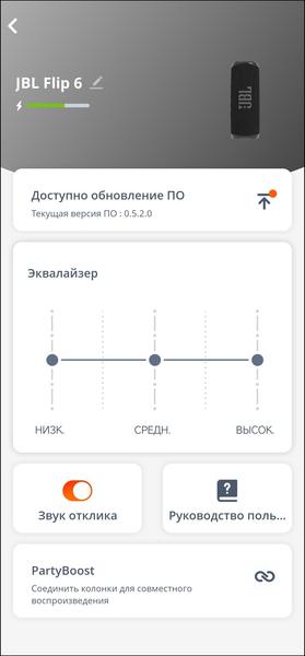 Портативная акустика JBL Flip 6:, фото 21