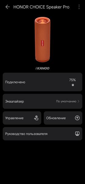 Портативная акустика Honor Choice Portable Speaker Pro:, фото 20