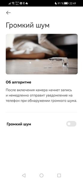 IP-камера Xiaomi Smart Camera C500 Pro:, фото 39