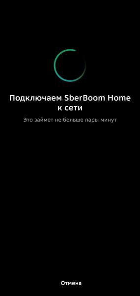 Смарт-колонка SberBoom Home:, фото 29