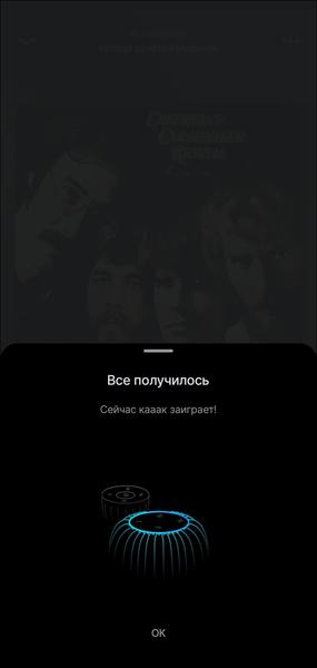 Смарт-колонка SberBoom Home:, фото 41