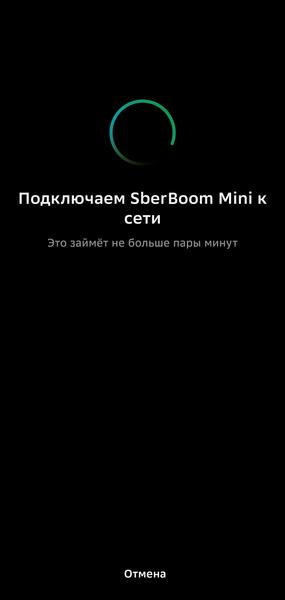 Смарт-колонка SberBoom Mini 2:, фото 17