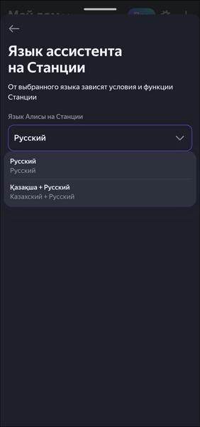 Смарт-колонка «Яндекс Станция Мини 3»:, фото 54