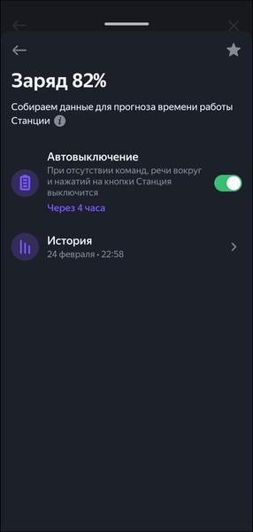 Портативная колонка «Яндекс Станция Стрит»:, фото 26