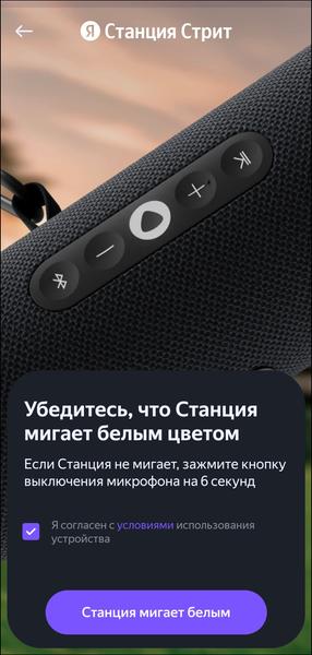 Портативная колонка «Яндекс Станция Стрит»:, фото 18
