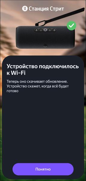 Портативная колонка «Яндекс Станция Стрит»:, фото 20