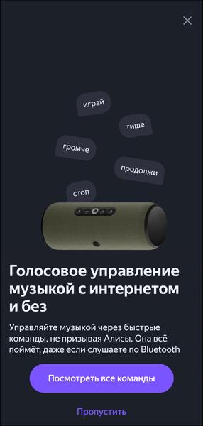 Портативная колонка «Яндекс Станция Стрит»:, фото 21