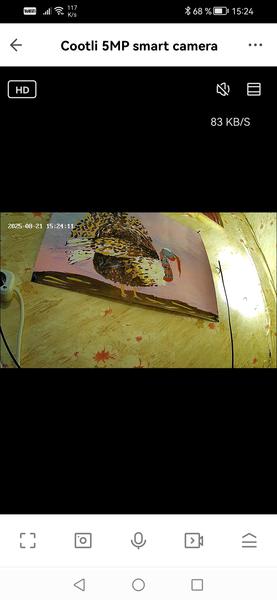 Умные IP-камеры Cootli CI-IIWF237 и CI-OIWF242:, фото 5