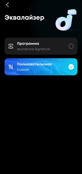 Портативная колонка Soundcore Boom 3i:, фото 38