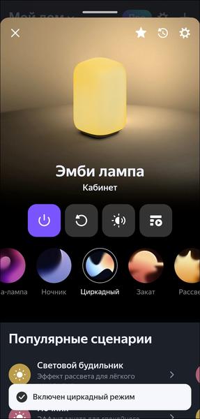 Пополнение линейки смарт-устройств «Яндекса»:, фото 22