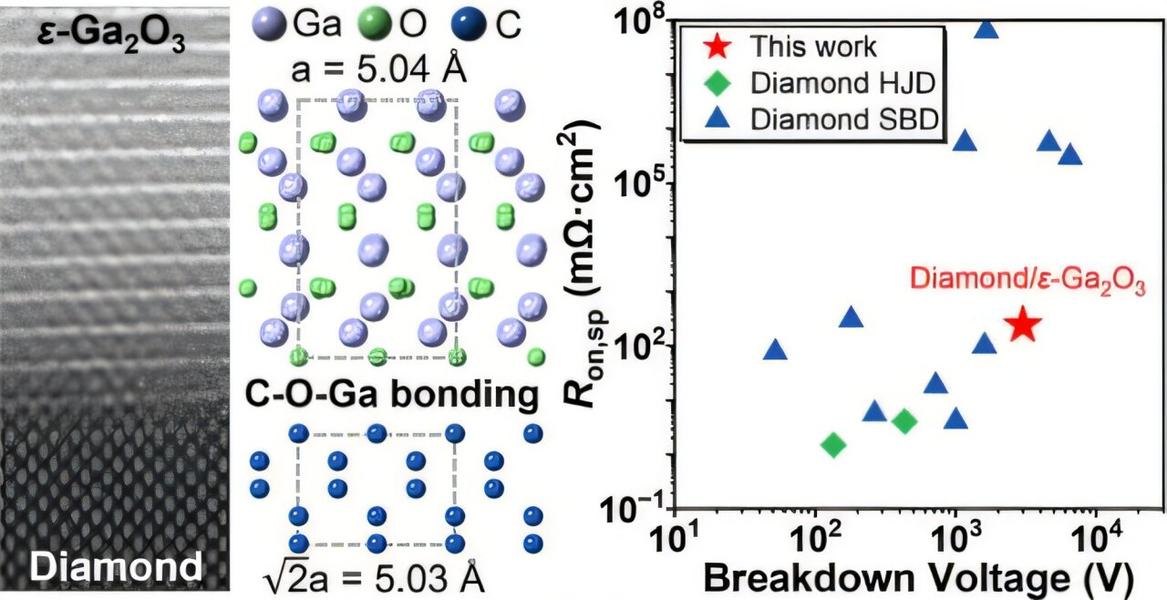 Источник: Nano Letters (2024). DOI: 10.1021/acs.nanolett.4c05446