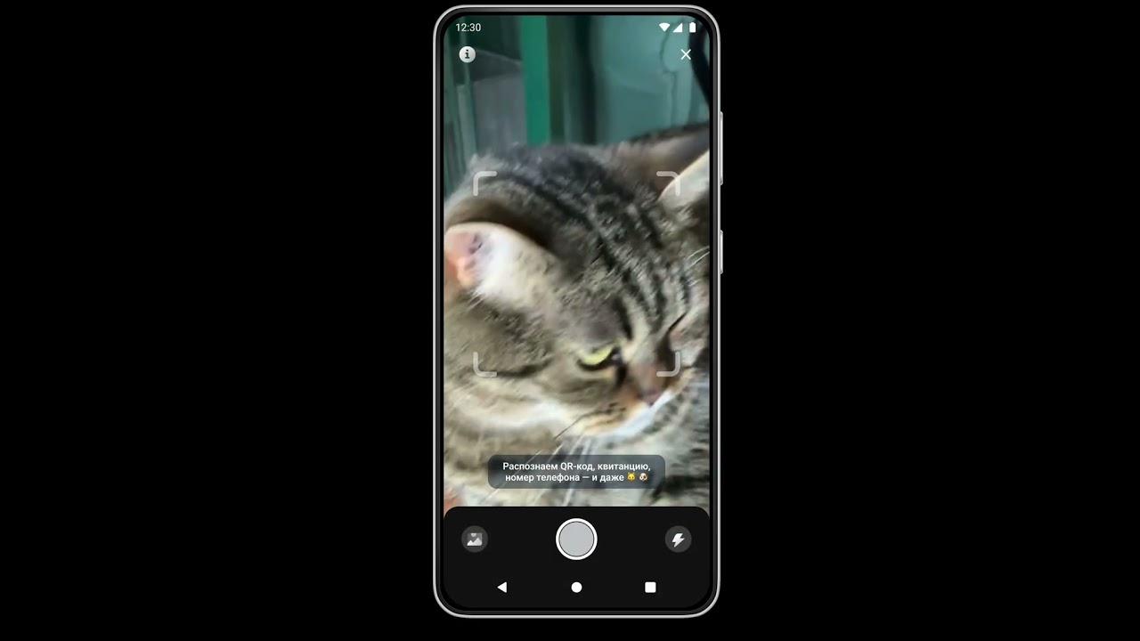 Сканер QR кода, экрана, кота