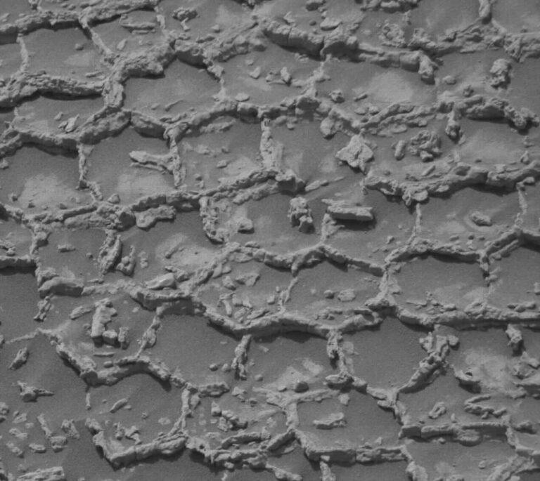 Curiosity опроверг орбитальные данные: «гладкий» участок Марса оказался покрыт полигональными структурами