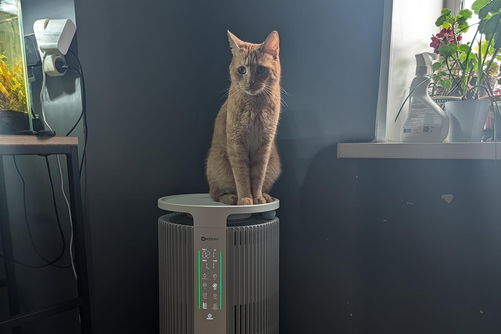 Обзор очистителя воздуха Neatsvor Air 30