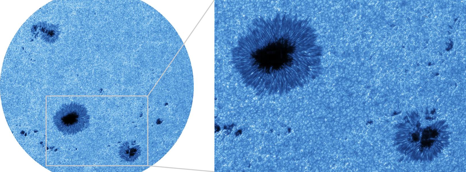 Фото: R. Kamlah et al. 2025