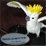 GeForce 9800 GT/GTX 260 производства Gigabyte
