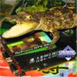 Обновленный GeForce GTX 295 производства Leadtek