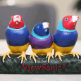 ViewSonic анонсировала новые проекторы 2011 года: