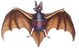 Letun (MegaMouse) 31240  эксклюзивный продукт Xerox из новой линейки &laquo;Офис будущего&raquo; сегодня в России