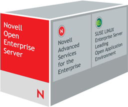 Novell начинает поставки Open Enterprise Server