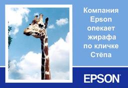 Epson зовет на фотосессию с жирафом