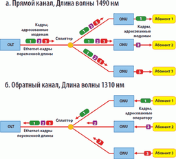 ZyXEL начинает поставки оборудования для пассивных оптических сетей доступа