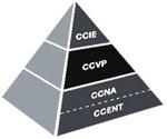 Cisco обновляет программу сертификации специалистов CCVP