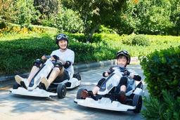 Ninebot предлагает переоборудовать гироскутеры Segway в гоночные машинки Go-kart