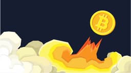 Bitcoin за сутки резко подорожал, как и многие другие криптовалюты