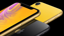 Смартфон Apple iPhone XR поступил в продажу