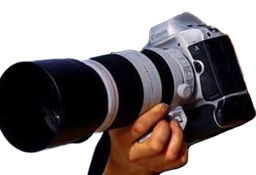 Появилось первое изображение следующей зеркальной камеры Canon верхнего профессионального сегмента
