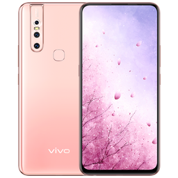 Камера смартфона Vivo S1 позволяет улучшить не только лицо, но и тело