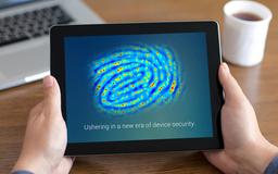 Vkansee и Tianma будут выпускать дисплеи OLED со встроенными дактилоскопическими датчиками