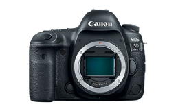Новые короли фотографии на подходе. Canon готовит к выпуску EOS 5D Mark V и EOS R Mark II