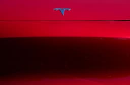 Consumer Reports считает функцию Tesla Smart Summon «глючной» 