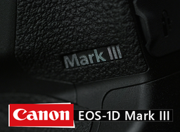 Стали известны многие спецификации зеркальной фотокамеры Canon EOS 1D X Mark III
