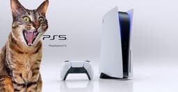 Некоторым покупателям Sony PlayStation 5 в Великобритании вместо приставки привозят кошачий корм, посуду и много чего ещё