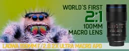 Полнокадровый объектив Laowa 100mm f/2.8 2X Ultra Macro APO стал доступен в вариантах с креплениями Canon RF и Nikon Z