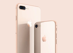 Apple пустила под нож iPhone 8 и «незаменимый» iPhone 8 Plus