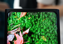 Подэкранные фронтальные камеры уже на горизонте. Samsung может использовать такое решение в линейке Galaxy S21