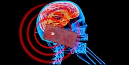 Уровни излучения 15 наиболее популярных смартфонов 2020 года